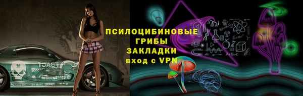 тгк Алзамай