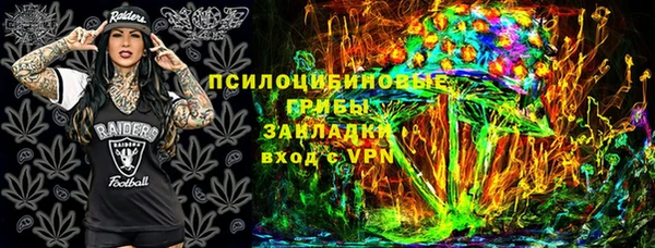 тгк Алзамай