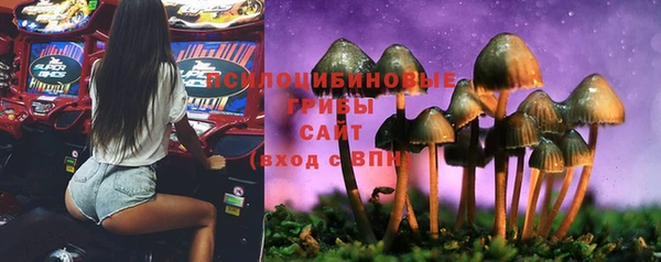 стаф Алексеевка