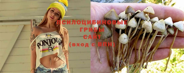 стаф Алексеевка