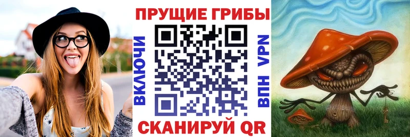 Галлюциногенные грибы ЛСД  где найти наркотики  Сосновка 
